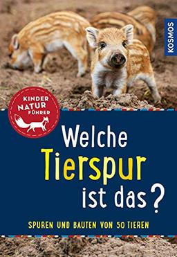 Welche Tierspur ist das? Kindernaturführer: Trittsiegel - Fraßspuren - Bauten - Kot