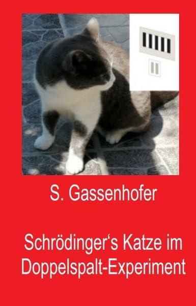 Schrödingers Katze im Doppelspalt-Experiment: Der Plan der Physiker - Covid & Klimawandel