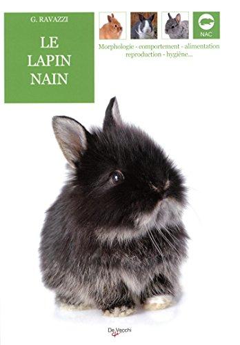 Le lapin nain