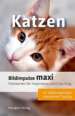 Bildimpulse maxi: Katzen: Fotokarten für Inspiration und Coaching.