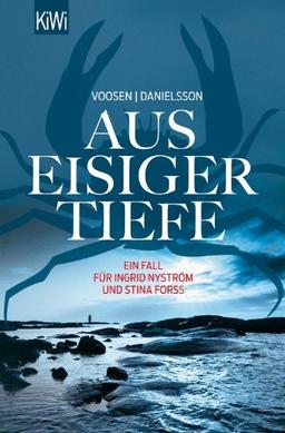 Aus eisiger Tiefe: Roman