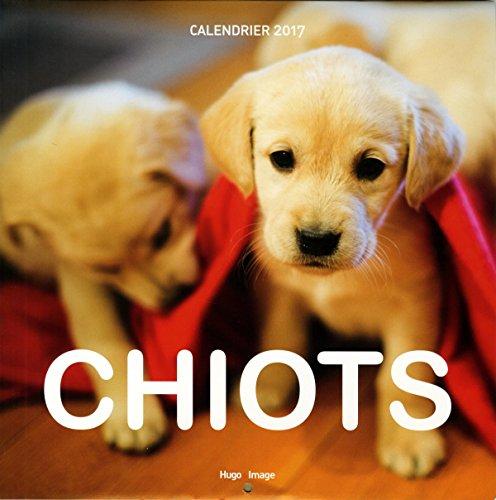 Chiots : calendrier 2017