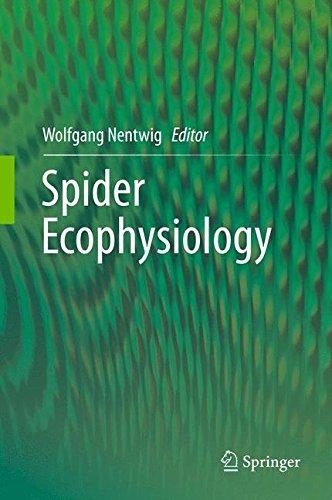 Spider Ecophysiology