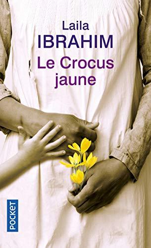 Le crocus jaune