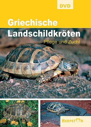 Griechische Landschildkröten - Pflege und Zucht