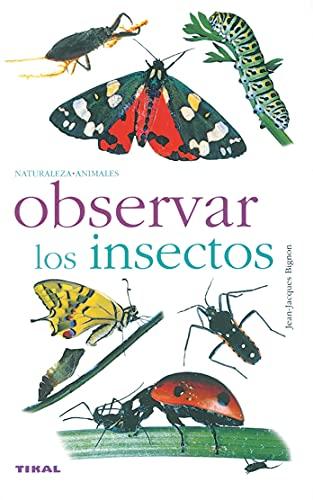 Observar los insectos (Naturaleza)