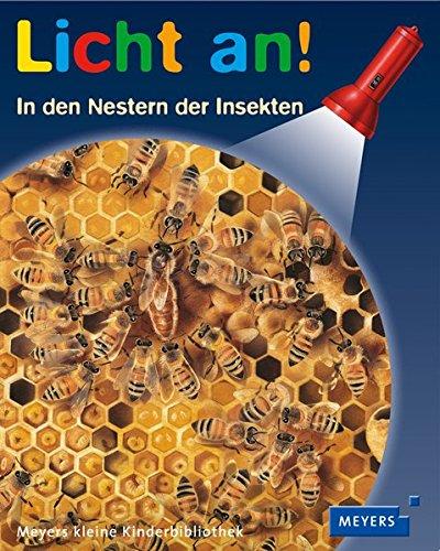 In den Nestern der Insekten: Licht an!