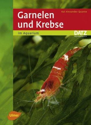 Garnelen und Krebse im Aquarium -