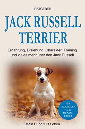 Jack Russell Terrier: Erziehung, Ernährung, Training, Charakter und einiges mehr über den Jack Russell Terrier