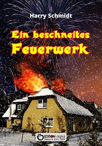 Ein beschneites Feuerwerk: Sinnsuche und Liebesleben der Ulrike B. in zwei Systemen