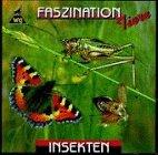 Insekten (Faszination Tiere)