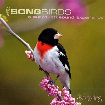 Songbirds