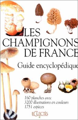 Les champignons de France (Beautés de la N.)