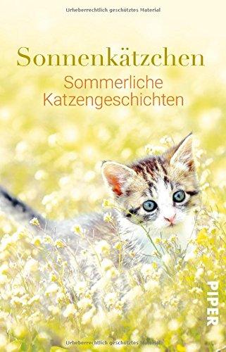 Sonnenkätzchen: Sommerliche Katzengeschichten