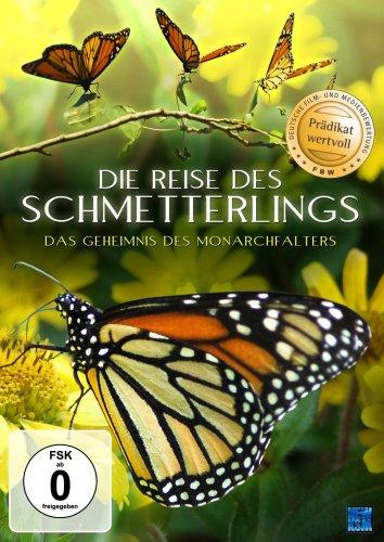 Die Reise des Schmetterlings - Das Geheimnis des Monarchfalters