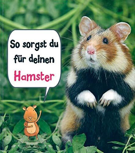 So sorgst du für deinen Hamster