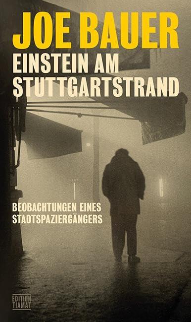 Einstein am Stuttgartstrand: Beobachtungen eines Stadtspaziergängers (Critica Diabolis)