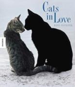 Cats in Love