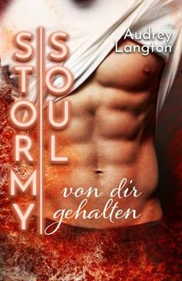 Stormy Soul: von dir gehalten (Stormy-Reihe (Gay-Romance), Band 2)