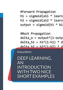 Deep Learning, an introduction with two nice short examples