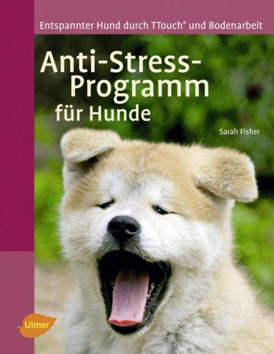 Anti-Stress-Programm für Hunde: Entspannter Hund durch T-Touch und Bodenarbeit