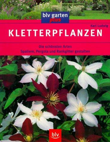 Kletterpflanzen