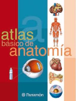 Atlas de anatomía (Atlas básicos)