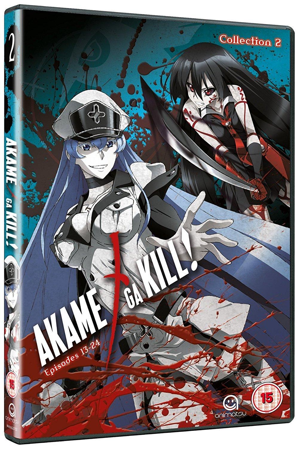 Akame Ga Kill Collection 2 (Episodes 13-24) [DVD] [NTSC]