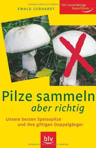 Pilze sammeln aber richtig: Unsere besten Speisepilze und ihre giftigen Doppelgänger