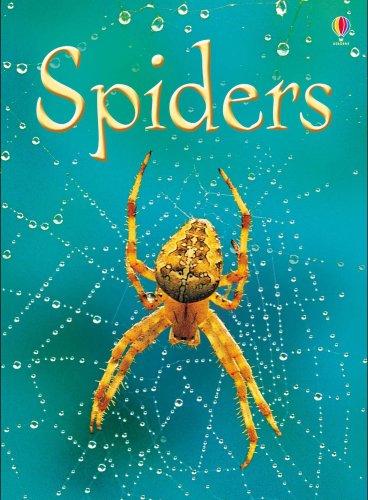 Spiders (Usborne Beginners)