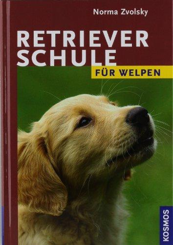 Retrieverschule für Welpen