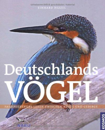 Deutschlands Vögel: Die Vögel unserer Heimat: Faszinierendes Leben zwischen Küste und Gebirge