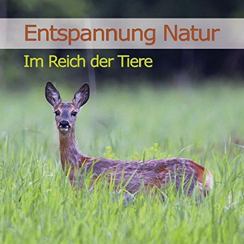 Entspannung Natur-im Reich der Tiere