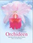 Orchideen