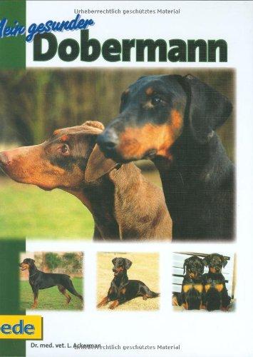 Mein gesunder Dobermann