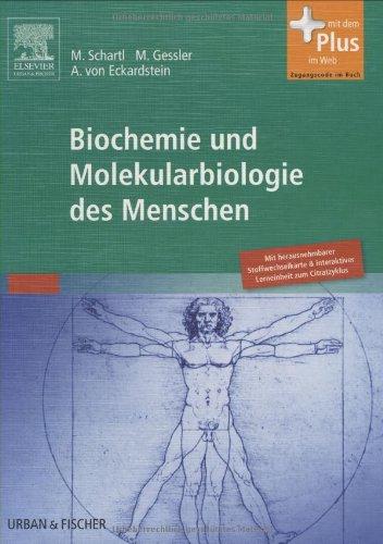 Biochemie und Molekularbiologie des Menschen: mit Zugang zum Elsevier-Portal