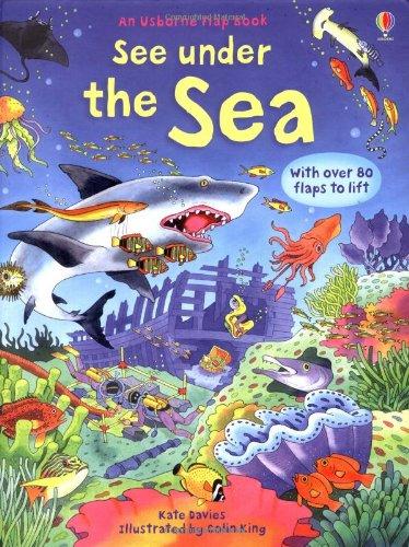 See Inside: See under the Sea: An Usborne Flap Book. With over 80 flaps to lift (Usborne See Inside)