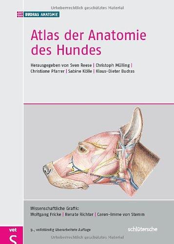 Atlas der Anatomie des Hundes