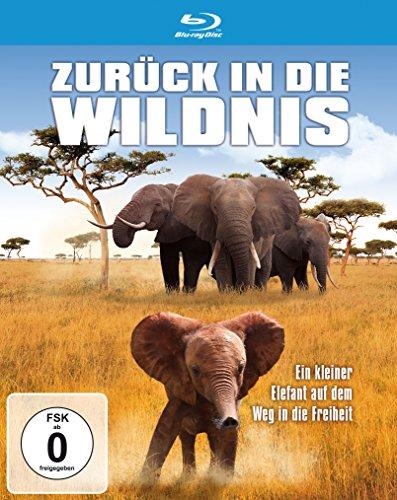 Zurück in die Wildnis - Ein kleiner Elefant auf dem Weg in die Freiheit [Blu-ray]