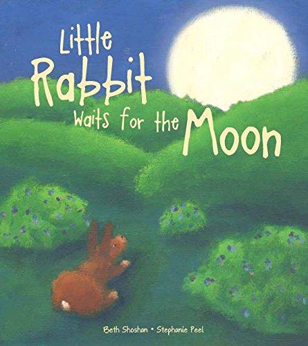 Little Rabbit Waits for the Moon