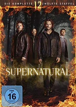 Supernatural - Die komplette zwölfte Staffel [6 DVDs]