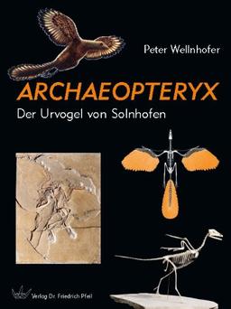 Archaeopteryx: Der Urvogel von Solnhofen