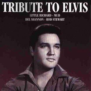 Tribute to Elvis