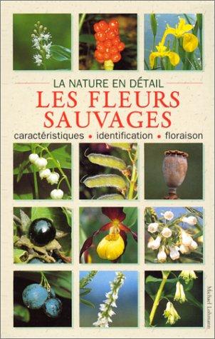 Les fleurs sauvages : caractéristiques, identification, floraison