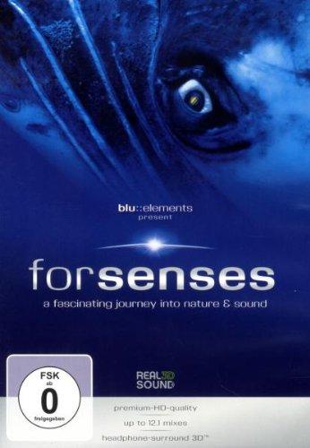 forsenses - A Fascinating Journey into Nature & Sound