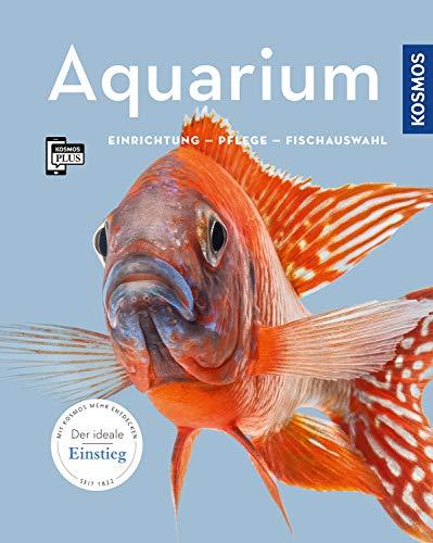 Aquarium: Einrichtung, Pflege, Fischauswahl (Mein Tier)