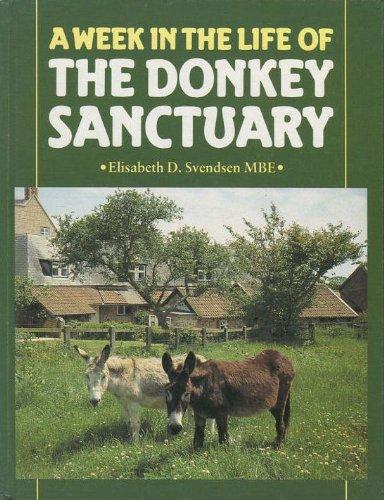 Week in the Life of the Donkey Sanctuary