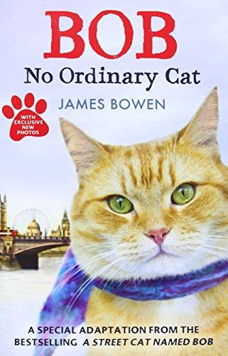 Bob - No Ordinary Cat