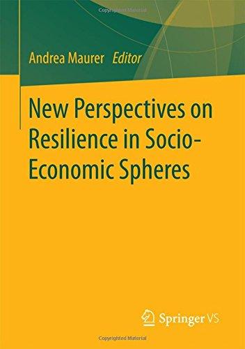 New Perspectives on Resilience in Socio-Economic Spheres