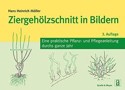 Ziergehölzschnitt in Bildern: Eine praktische Pflanz- und Pflegeanleitung durchs ganze Jahr